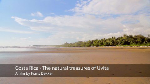 Costa Rica - The natural treasures of Uvita
